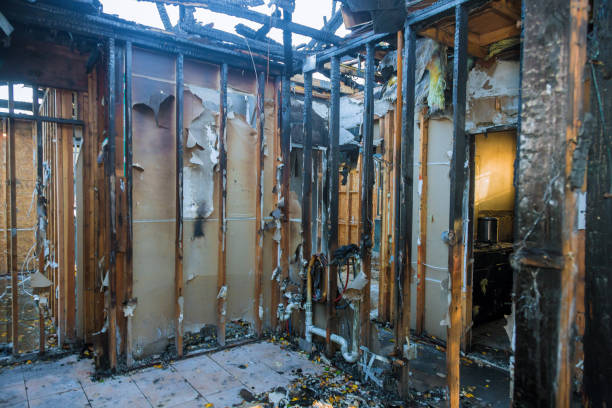 Professional Fire Damage Removal technician working in Garyville, LA